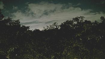 Weather camera view of Metairie Club Gardens.