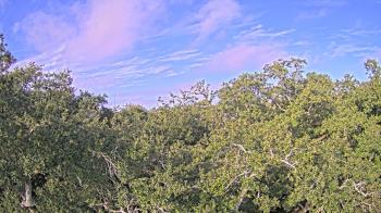 Weather camera view of Metairie Club Gardens.