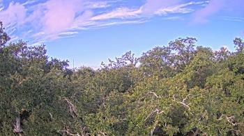 Weather camera view of Metairie Club Gardens.
