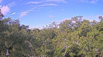 Weather camera view of Metairie Club Gardens.