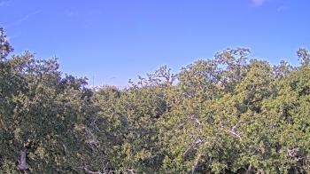 Weather camera view of Metairie Club Gardens.