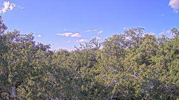 Weather camera view of Metairie Club Gardens.