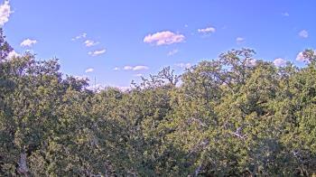 Weather camera view of Metairie Club Gardens.