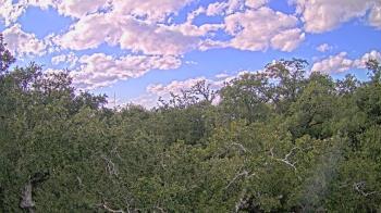 Weather camera view of Metairie Club Gardens.