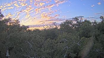 Weather camera view of Metairie Club Gardens.