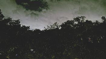 Weather camera view of Metairie Club Gardens.