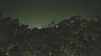 Weather camera view of Metairie Club Gardens.