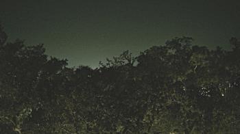 Weather camera view of Metairie Club Gardens.