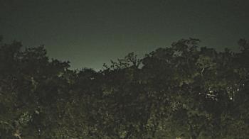 Weather camera view of Metairie Club Gardens.