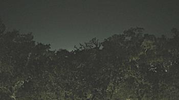 Weather camera view of Metairie Club Gardens.