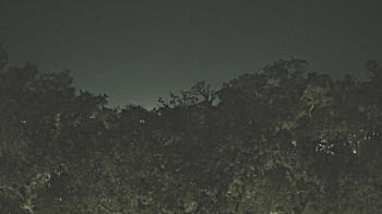 Weather camera view of Metairie Club Gardens.