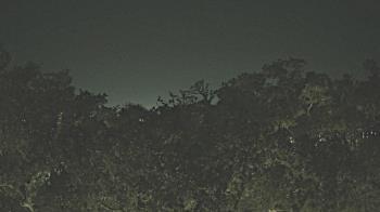 Weather camera view of Metairie Club Gardens.