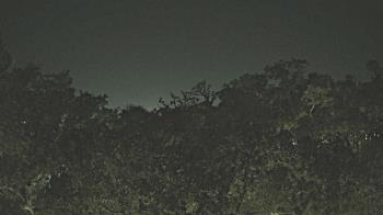 Weather camera view of Metairie Club Gardens.