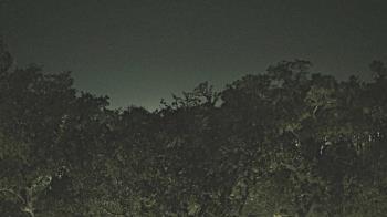 Weather camera view of Metairie Club Gardens.