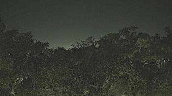 Weather camera view of Metairie Club Gardens.