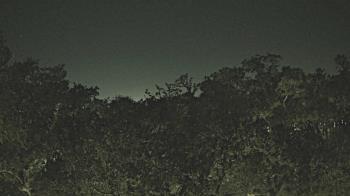 Weather camera view of Metairie Club Gardens.