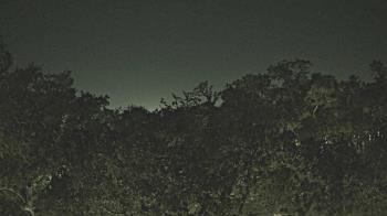 Weather camera view of Metairie Club Gardens.