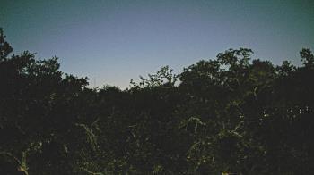 Weather camera view of Metairie Club Gardens.