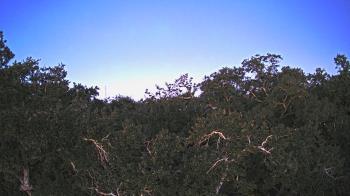 Weather camera view of Metairie Club Gardens.