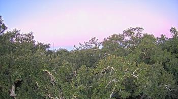 Weather camera view of Metairie Club Gardens.