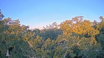 Weather camera view of Metairie Club Gardens.