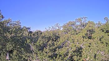 Weather camera view of Metairie Club Gardens.