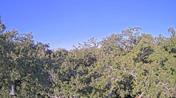 Weather camera view of Metairie Club Gardens.