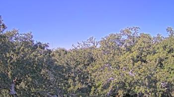 Weather camera view of Metairie Club Gardens.