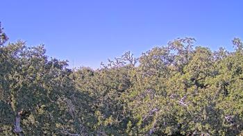 Weather camera view of Metairie Club Gardens.