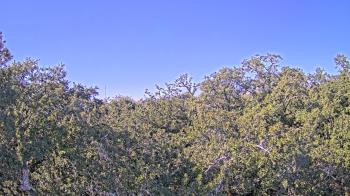 Weather camera view of Metairie Club Gardens.