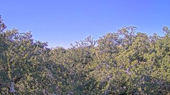 Weather camera view of Metairie Club Gardens.