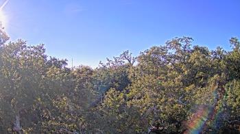 Weather camera view of Metairie Club Gardens.