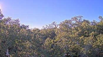 Weather camera view of Metairie Club Gardens.