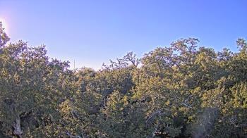 Weather camera view of Metairie Club Gardens.