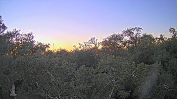 Weather camera view of Metairie Club Gardens.