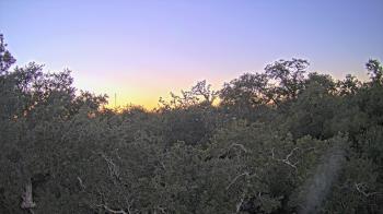 Weather camera view of Metairie Club Gardens.