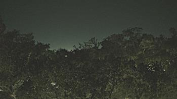 Weather camera view of Metairie Club Gardens.