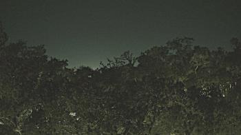 Weather camera view of Metairie Club Gardens.