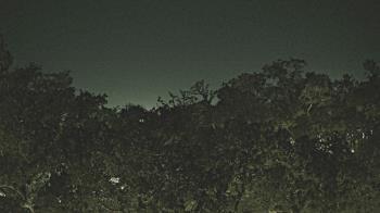 Weather camera view of Metairie Club Gardens.