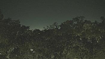 Weather camera view of Metairie Club Gardens.