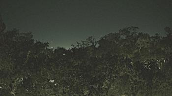 Weather camera view of Metairie Club Gardens.