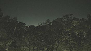 Weather camera view of Metairie Club Gardens.