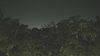 Weather camera view of Metairie Club Gardens.