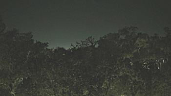 Weather camera view of Metairie Club Gardens.