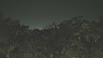 Weather camera view of Metairie Club Gardens.