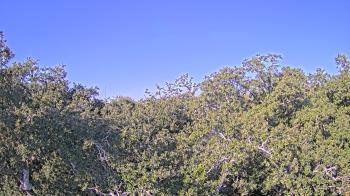 Weather camera view of Metairie Club Gardens.