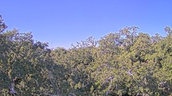 Weather camera view of Metairie Club Gardens.