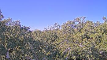Weather camera view of Metairie Club Gardens.