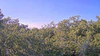 Weather camera view of Metairie Club Gardens.