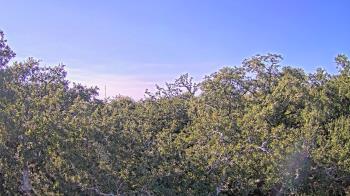 Weather camera view of Metairie Club Gardens.